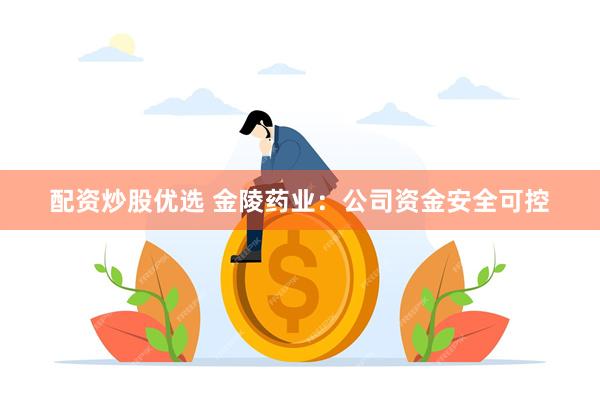配资炒股优选 金陵药业：公司资金安全可控