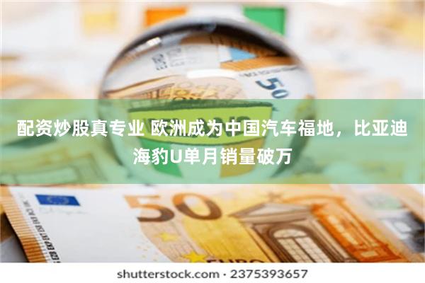配资炒股真专业 欧洲成为中国汽车福地，比亚迪海豹U单月销量破万