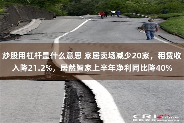 炒股用杠杆是什么意思 家居卖场减少20家,租赁收入降21.2%,居然智家上半年净利同比降40%