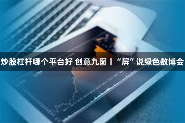 炒股杠杆哪个平台好 创意九图丨“屏”说绿色数博会