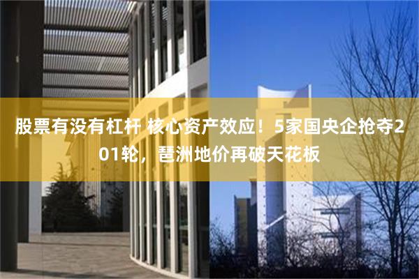 股票有没有杠杆 核心资产效应！5家国央企抢夺201轮，琶洲地价再破天花板