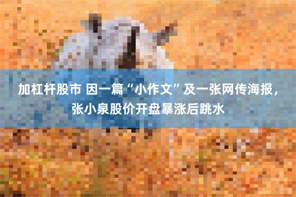 加杠杆股市 因一篇“小作文”及一张网传海报，张小泉股价开盘暴涨后跳水