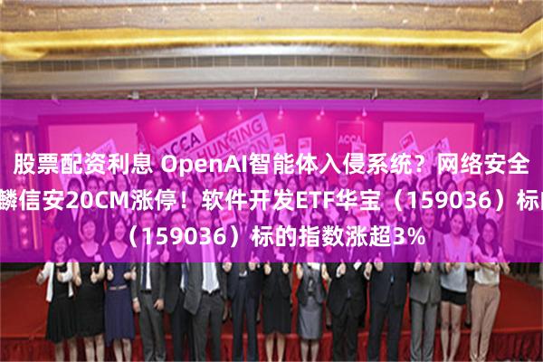 股票配资利息 OpenAI智能体入侵系统？网络安全概念爆发，麒麟信安20CM涨停！软件开发ETF华宝（159036）标的指数涨超3%