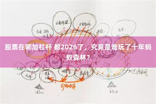 股票在哪加杠杆 都2026了，究竟是谁玩了十年蚂蚁森林？