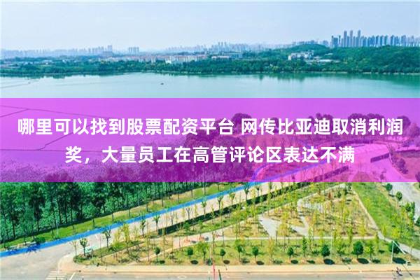哪里可以找到股票配资平台 网传比亚迪取消利润奖,大量员工在高管评论区表达不满
