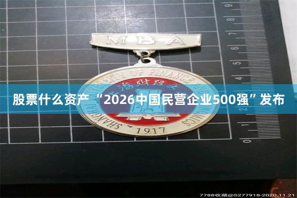 股票什么资产 “2026中国民营企业500强”发布