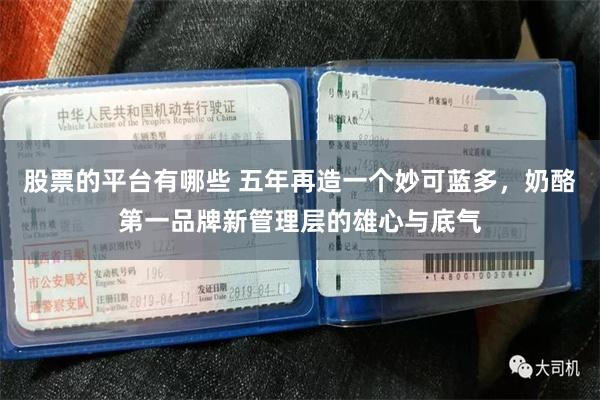 股票的平台有哪些 五年再造一个妙可蓝多，奶酪第一品牌新管理层的雄心与底气
