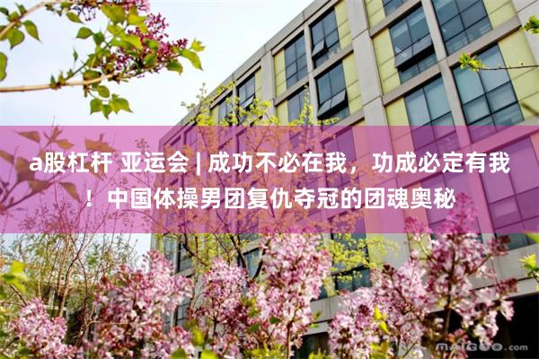 a股杠杆 亚运会 | 成功不必在我，功成必定有我！中国体操男团复仇夺冠的团魂奥秘