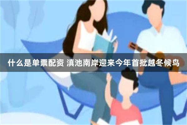 什么是单票配资 滇池南岸迎来今年首批越冬候鸟
