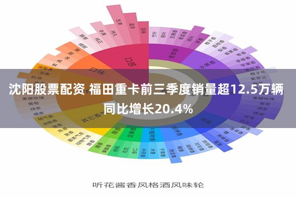沈阳股票配资 福田重卡前三季度销量超12.5万辆 同比增长20.4%