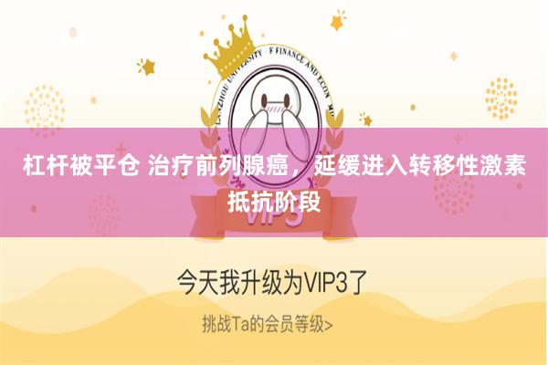 杠杆被平仓 治疗前列腺癌,延缓进入转移性激素抵抗阶段